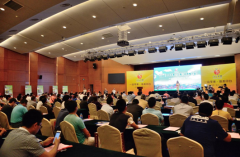 陕西铜川-印台苹果(上海