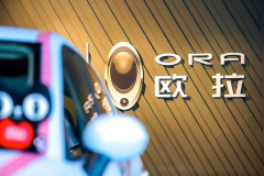 汽车直播也疯狂 欧拉潮